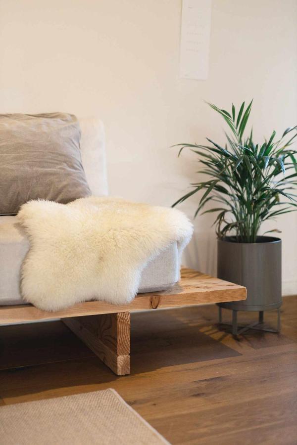 Cal Ouaire House Lohodihomes Viladesens Bagian luar foto